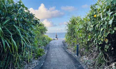 宮古島 ゲイ|宮古島日記 – 外苑前→熱海→宮古島 年の差ゲイカップルの宮古。